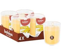 Bolsius - Mimosa - Yellow - Set of 4 Scented Candles - 3.8″ × 3.3″ - Burn time: 25 Hours - with Natural extracts - Natural Vegetable Wax - Palm Oil Free