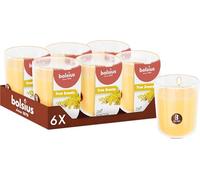 Bolsius - Mimosa - Yellow - Set of 6 Scented Candles - 8 x 7 cm - Burn time: 25 Hours - with Natural extracts - Natural Vegetable Wax - Palm Oil Free