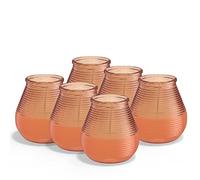 Bolsius Outdoor Candle - Patio Light - Citronella - Coral - Pack of 6 - Long Burning Time of 40 Hours - Outdoor Candle - Exterior Decoration - Natural Extracts - Vegan Wax - No Palm Oil