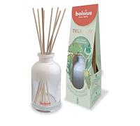 Bolsius Reed Diffuser - True Joy - Botanic Freshness - Lasts for up to 10 Weeks - Natural Extracts - No Alcohol Formula - Transparent - Recyclable Glass - 80 ml