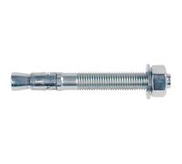 Bolt Anchor FBN II 12/20 (12X116) 044558/20 pcs