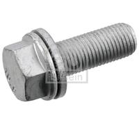 BOLT, BRAKE CALIPER 181551