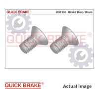 SCREW SET BRAKE DISC 11669K FOR MINI CLUBMAN LAND ROVER RANGE/SPORT/SUV 1.4L