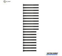 REINZ 14-55028-01 Bolt Kit, cylinder head