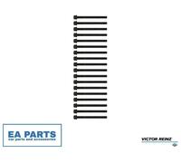 Bolt Kit, cylinder head for KIA SORENTO VICTOR REINZ 14-55072-01