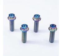 Bolt screw M8x1.25x25mm Rainbow Titanium Motorcycle Screw Bolts Concave Head Hollow