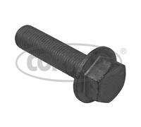 Bolt Set, crankshaft pulley for RENAULT KANGOO MEGANE CORTECO 80001242