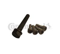 BOLT SET, CRANKSHAFT PULLEY FOR VW CRAFTER 30-35 BUS CONTINENTAL CTAM MS06