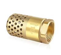 Boltigen Brass 1-1/4 inch NPT Heavy Duty Spring Check Valve Female Connection One Way Foot Valve Backflow Preventer with Holes Strainer Filter for Well Jet Pumps (1-1/4'' NPT)
