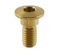 Bolts and Nuts set Compatible With For Raptor 700 2006-2021 700R 2011-2021 700R For YFM SE 2014-2020 Motorcycle M8 X 20MM Rear Brake Rotor Screw Bolt Parts