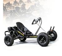 BoluDukNN 196cc Drift Go Kart for Adults - 4-Stroke 6.5hp Engine, High-Carbon Steel Frame, Rear Hydraulic Brake, Pull/Electric Start, Off-Road Racing Kart,110kg Load Capacity