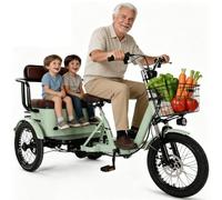 BoluDukNN Two-Seater Electric Tricycle for Adults,3-Wheel Ebike with Passenger Seat,7-Speeds,18" X 4.0" Fat Tyres,Front & Rear Baskets,Dual Disc Brakes Green