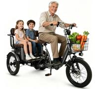 BoluDukNN Two-Seater Electric Tricycle for Adults,3-Wheel Ebike with Passenger Seat,7-Speeds,18" X 4.0" Fat Tyres,Front & Rear Baskets,Dual Disc Brakes Grey