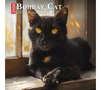 Bombay Cat Calendar 2026: Sleek and Mysterious House Panthers with Golden Eyes