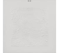 Bon Iver - Bon Iver, Bon Iver (10Th Anniversary Edition)