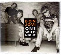 Bon Jovi - One Wild Night [CD 1]