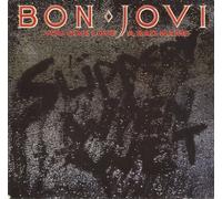 Bon Jovi - You Give Love A Bad Name