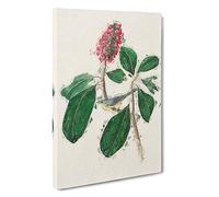 Bonaparte's Flycatcher Bird by John James Audubon Canvas Print | Gallery Wrapped 30mm Frame Wall Art | 30x20 inches | Ready to Hang | Modern Animals Picture | Living Room Bedroom Lounge Office