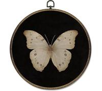 Bonbeau Vintage White Butterfly Round Wall Art Decor, Retro Antique Moth Hanging Canvas Prints Artwork Framed, Neutral Moody Insect Circular Wall Decor for Home Bedroom Living Room 26cm Framed