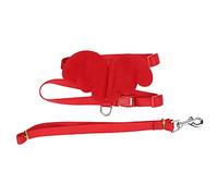 Bonbela Adjustable Pet Harness Leash for Ducks Chickens Geese Ducks Leash Rope Traction Rope Duck Walking Harness with Nylon Material for Outdoor Walking Training (S)