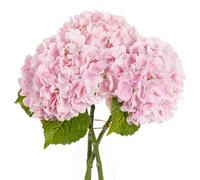 BonBloom's 3 Pcs Pink Hydrangea Artificial Flowers,21" Latex Hydrangeas with Stems,Fake Real Touch Flowers for Wedding Table Centerpieces Floral Arrangement Home Decor