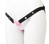 Bondage Masters Chastity Cage, Sissy Cage with Belt