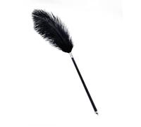 Bondage SM Erotic Sex Fetish Feather Tickler with Lightweight Handle Multi-Color Tease Flirting Tickler Sex Toy Accessory for BDSM Cosplay Role Play