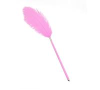 Bondage SM Erotic Sex Fetish Feather Tickler with Lightweight Handle Multi-Color Tease Flirting Tickler Sex Toy Accessory for BDSM Cosplay Role Play