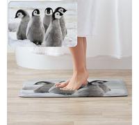 BONDIJ Emperor Penguin Print Bathroom Rugs Absorbent Microfiber Bath Mat Flannel Area Rug Rubber Backing Non Slip Door Mat for Outdoor Indoor Home Entry Mat 60 x 40 CM