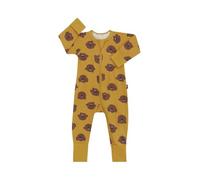 Bonds Baby Zippy - Cotton Blend Zip Wondersuit Buddy Bear (12-18 Months)