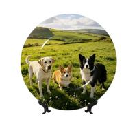 Bone China Decorative Plate with Display Stand Display Plate for Wall Decor | Dogs In The Field Dinner Plate Dessert Decorative Porcelain Plate For Kitchen Dining Room Wine Cabinet Home Decor