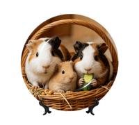 Bone China Decorative Plate with Display Stand Display Plate for Wall Decor | Guinea Pigs Funny Dinner Plate Dessert Decorative Porcelain Plate For Kitchen Dining Room Wine Cabinet Home Decor
