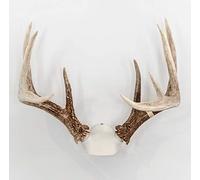 Bone Collector The Change Up Antler Mounting Kit with Skull Cap