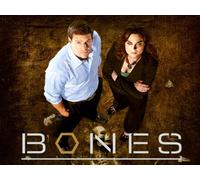 Bones - Season 1