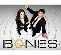 Bones - Season 5