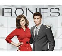 Bones - Season 6