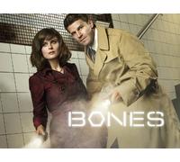 Bones - Season 7
