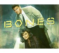 Bones - Season 8