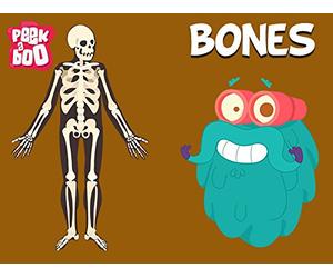 Bones The Dr. Binocs Show Educational Videos For Kids