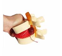 BoNew Anatomical Human Lumbar disc herniation demonstration model Human Spine Yellow Color