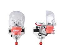 BONEW-Oral Dental Simulator Manikin Phantom Head Model Dentist Educational Teeth Teaching Model with 28Pcs Teeth Fix on (Dental Chair Type)