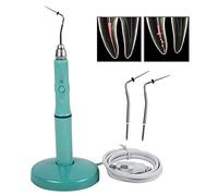 BoNew-Oral Wireless Cordless Gutta Percha Obturation Heated Pen 2Tips Endodontic UK Warehouse