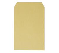 Bong Envelopes Plain C5 165 x 237 mm Self Seal Brown 80 gsm Pack of 500