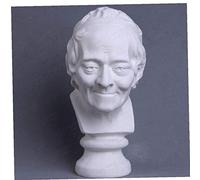 Bongles Voltaire Bust Statue Resin Craftwork Office Hotel Living Room Decoration Line Drawing Teaching Aids
