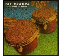 Bongos, the - Drums Along the Hudson