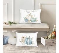 Bonhause Autumn Pumpkin Cushion Covers 30 x 50 cm Beige Blue Pumpkins Decorative Throw Pillow Covers for Sofa Couch Bed Home Fall Thanksgiving Decor Set of 2