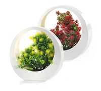 Bonicxane Set of 2 Artificial Plants - Decorative Fake Plants for Indoor and Outdoor - Faux Succulent Plants for Bedroom Office Desk & Home Decor - Decorative Artificial Plants (Cool Aspect)