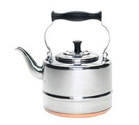 BonJour Tea Stainless Steel and Copper-Base Gooseneck Teapot/Teakettle/Stovetop Kettle, 2 Quart, Silver