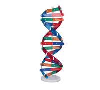 BONKZEBU Colorful Double Spiral Human DNA Model Toy with Fine Details for Research and Learning, Ideal Educational Kids on Birthday, Christmas Day