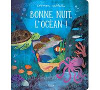 Bonne nuit, l'océan !